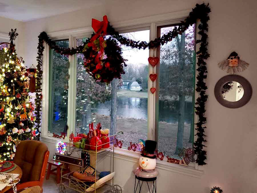 Kitchen Window