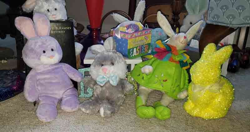 Bunnys