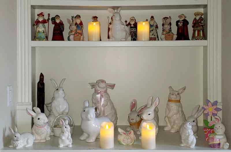 Bunnys