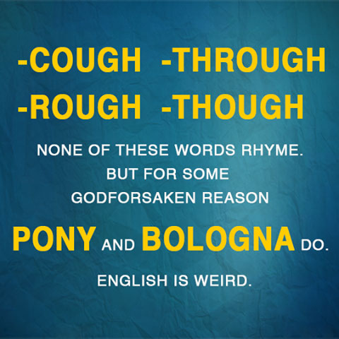 Pony Bologna