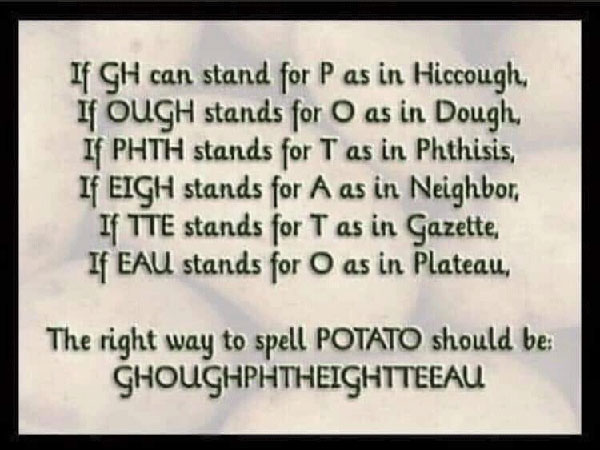 Potato