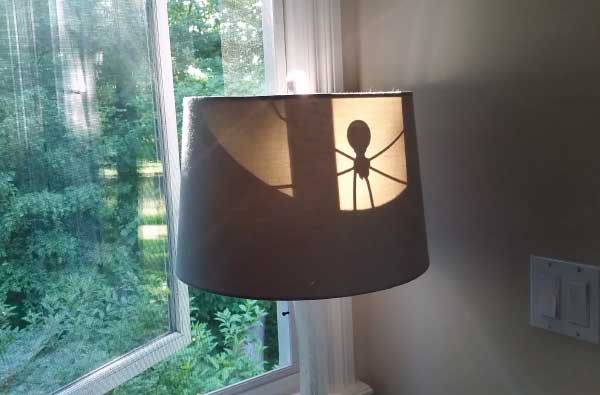 Black Widow Spider Shade