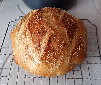 Bread